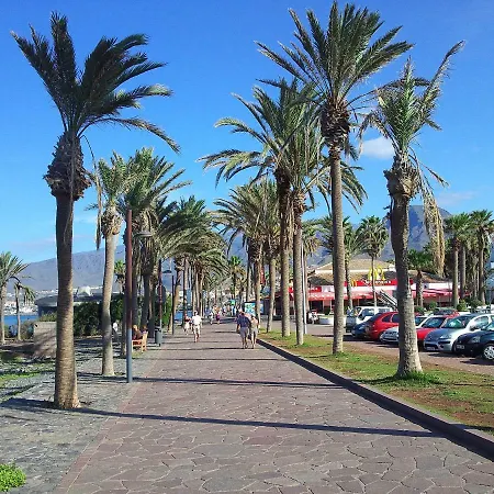 شقة Casa Palmera Only 150 Meters To The Beach, Heated Pool, Wifi, Sat-tv, Balcony With Poolview