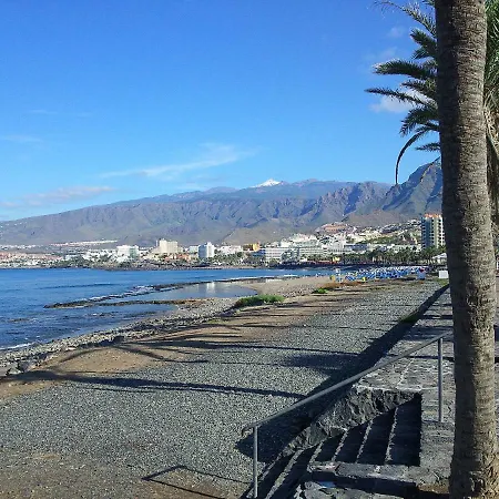 شقة Casa Palmera Only 150 Meters To The Beach, Heated Pool, Wifi, Sat-tv, Balcony With Poolview